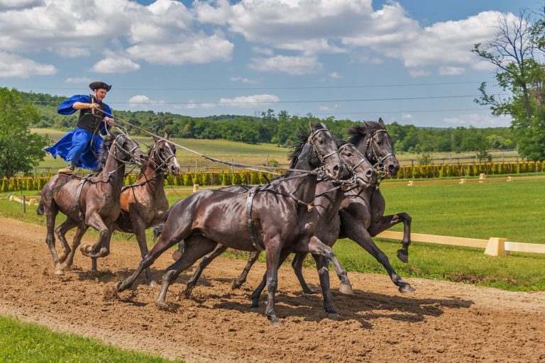 Casque et bottes de cavalier : Tout ce que vous devez savoir