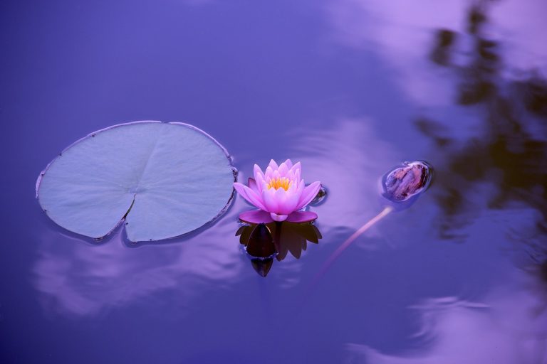 Pourquoi le yoga à domicile peut améliorer votre productivité